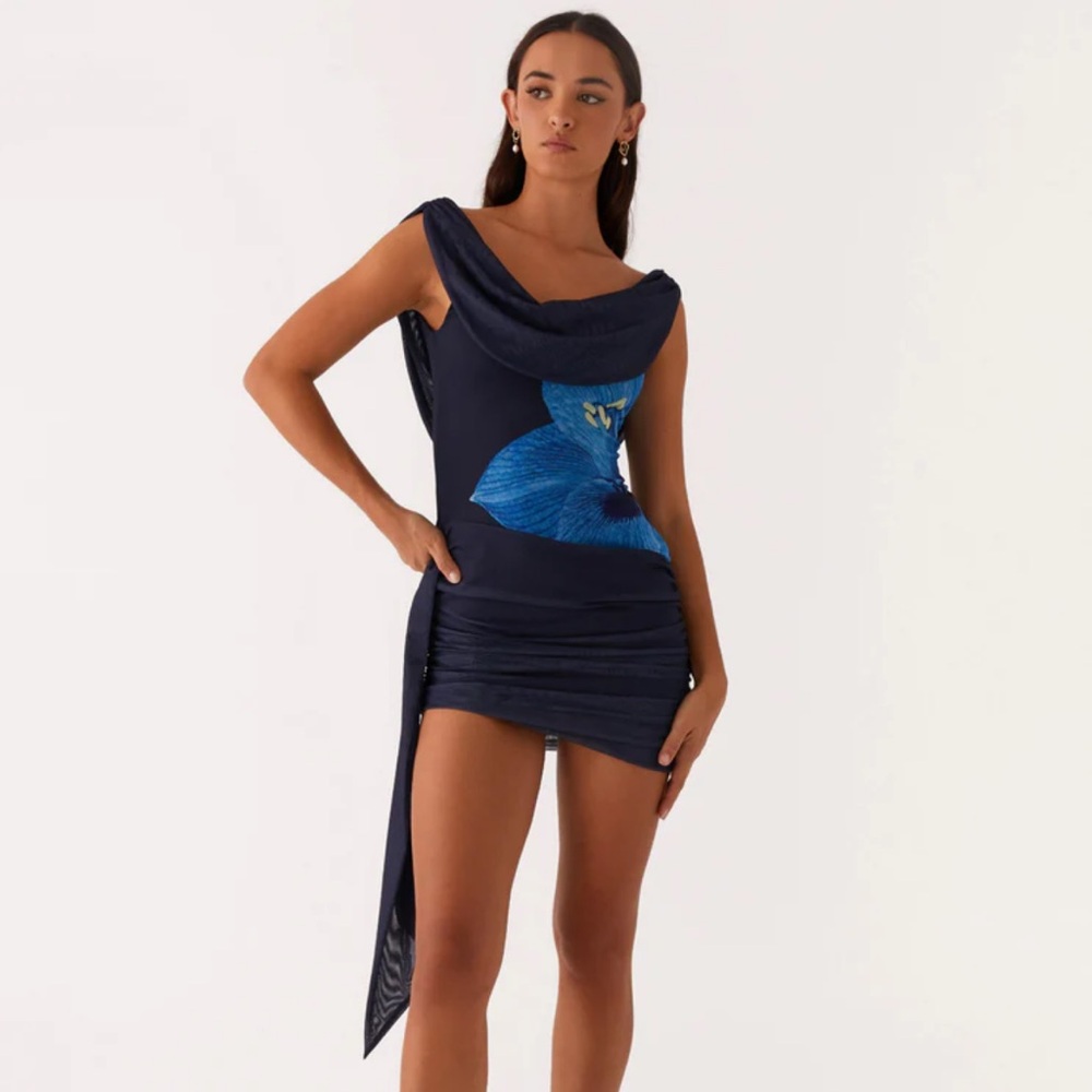 NWT Peppermayo Good Fortune Blue Flower Dress